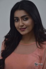 Avantika Mishra At Vaishakham Movie Success meet